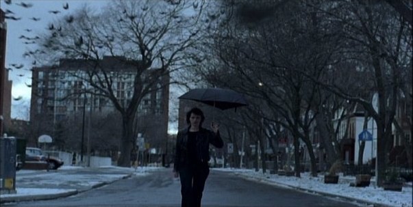 The Death Of Alice Blue fotoğrafı