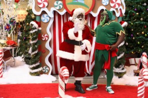 The Perfect Holiday fotoğrafı