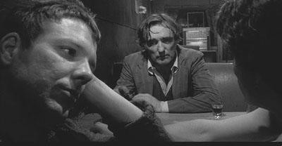 Siyam Balığı Fotoğrafı