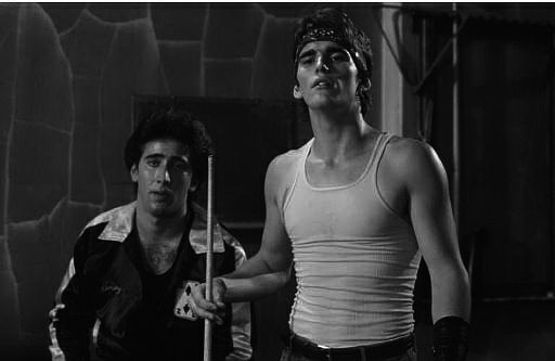 Siyam Balığı Fotoğrafı