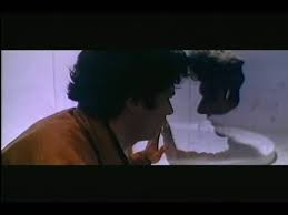 L'uccello Dalle Piume Di Cristallo Fotoğrafı