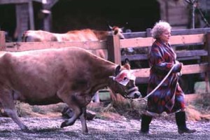 Kara Göl Fotoğrafı