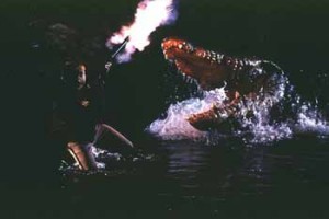 Kara Göl Fotoğrafı