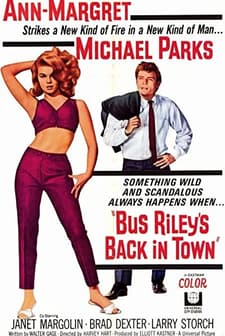 Bus Riley'in şehire Dönüşü (1965) afişi
