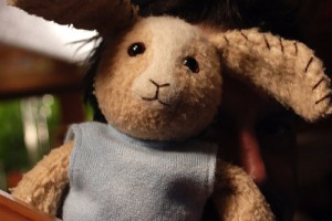 Sihirli Kutu fotoğrafı