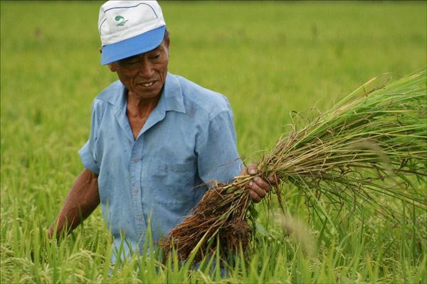 Old Man And The Land Fotoğrafı