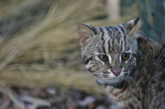 One Day On The Road Fotoğrafı