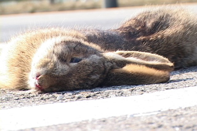 One Day On The Road Fotoğrafı