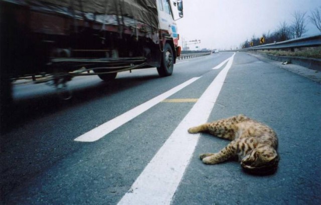 One Day On The Road Fotoğrafı