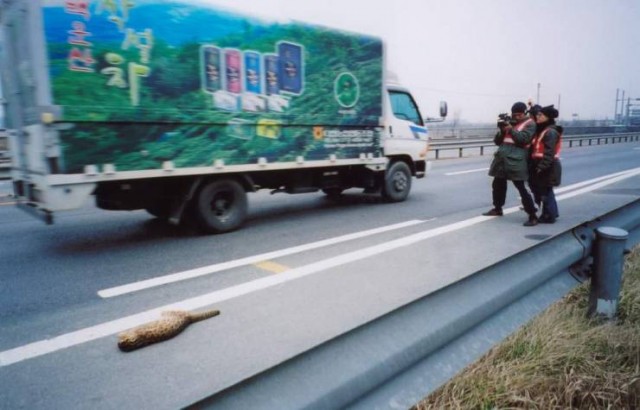 One Day On The Road Fotoğrafı