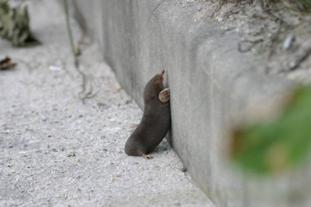 One Day On The Road Fotoğrafı