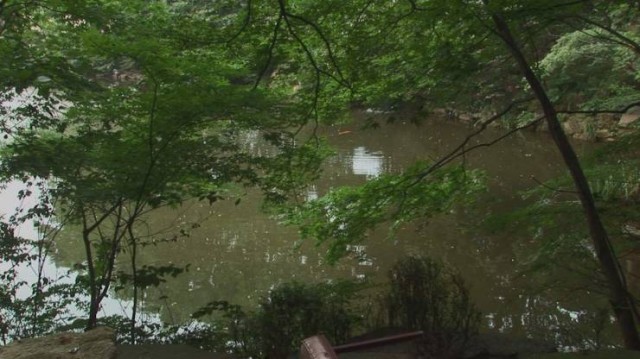 The Past is A Strange Country Fotoğrafı