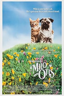 A Kitten's Story (1986) afişi