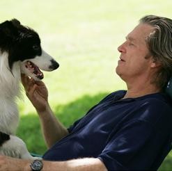 A Dog Year fotoğrafı