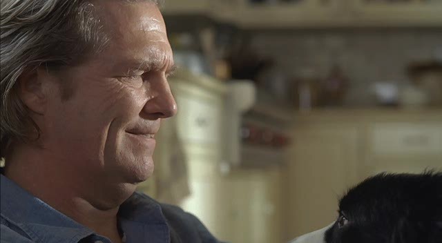 A Dog Year fotoğrafı