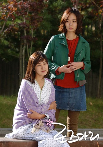 Rosemary Fotoğrafı