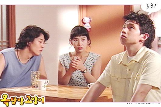 Rooftop Room Cat Fotoğrafı