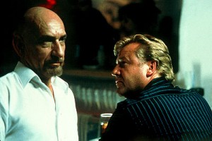 Seksi Hayvan Fotoğrafı