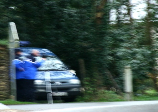 L'oiseau Rare fotoğrafı