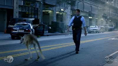 FlashForward Fotoğrafı