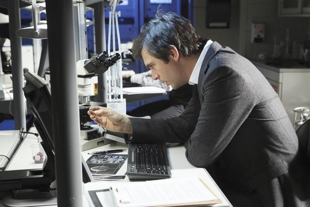 FlashForward Fotoğrafı