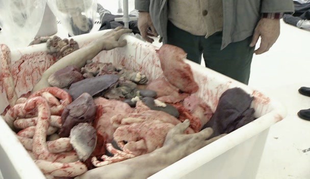 Kıyamete Doğru fotoğrafı