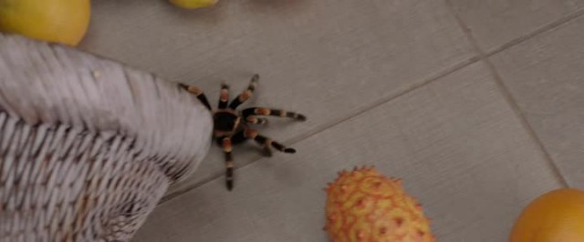 Bu Nasıl Aile! Fotoğrafı