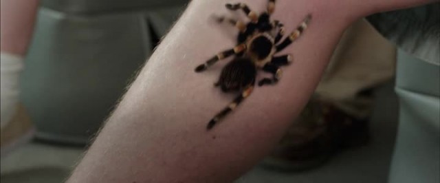 Bu Nasıl Aile! Fotoğrafı