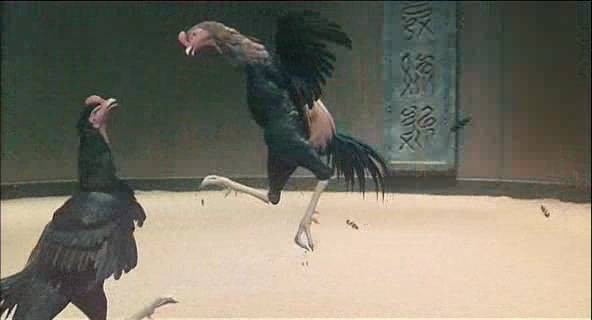 Hyôryû-gai fotoğrafı