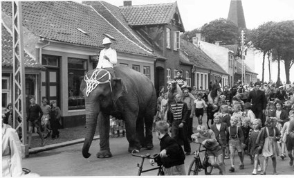 Texas Karnavalı fotoğrafı