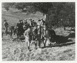 Dark Command Fotoğrafı