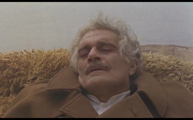 Ecinniler fotoğrafı