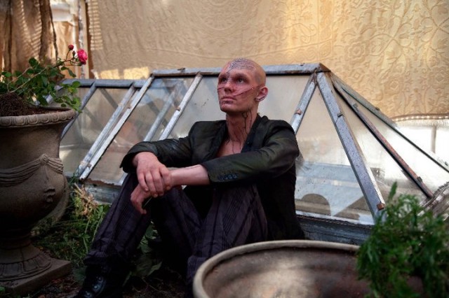 Sevimsiz Fotoğrafı