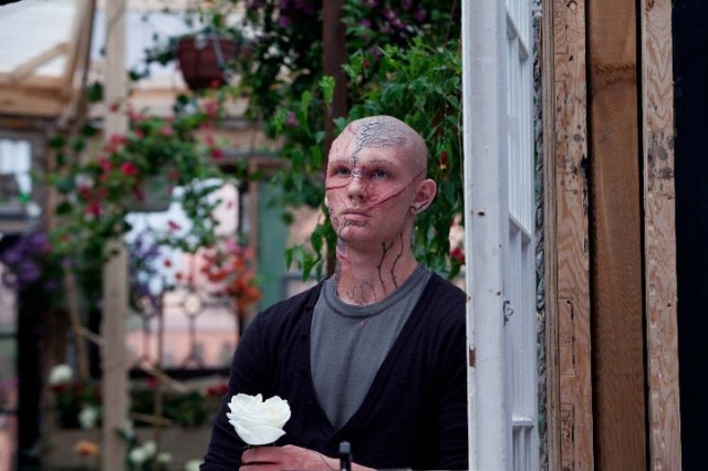 Sevimsiz Fotoğrafı