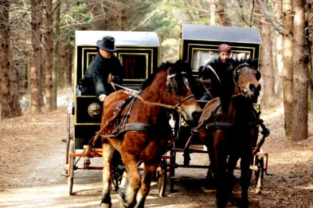 The Land Fotoğrafı