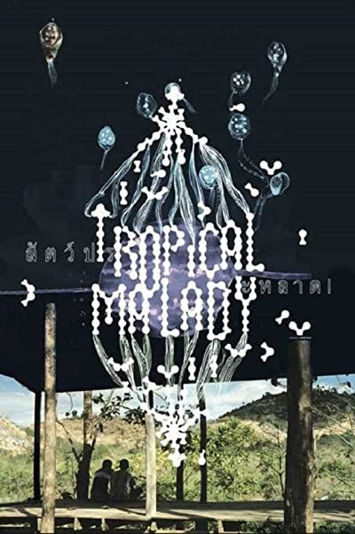 Tropikal Hastalık (2004) afişi
