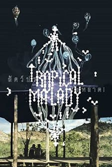 Tropikal Hastalık (2004) afişi