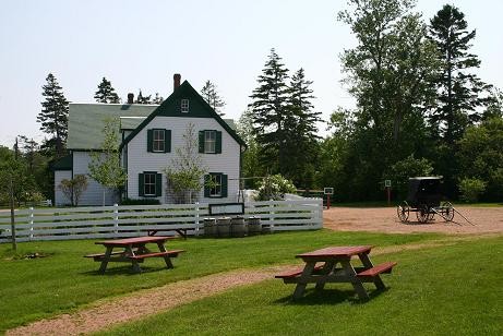 Yeşilin Kızı Anne Fotoğrafı