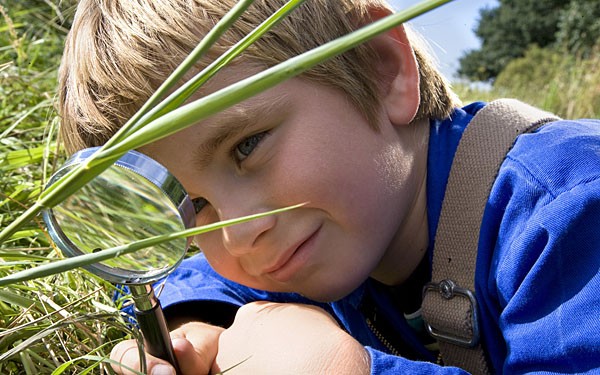 Kikkerdril fotoğrafı