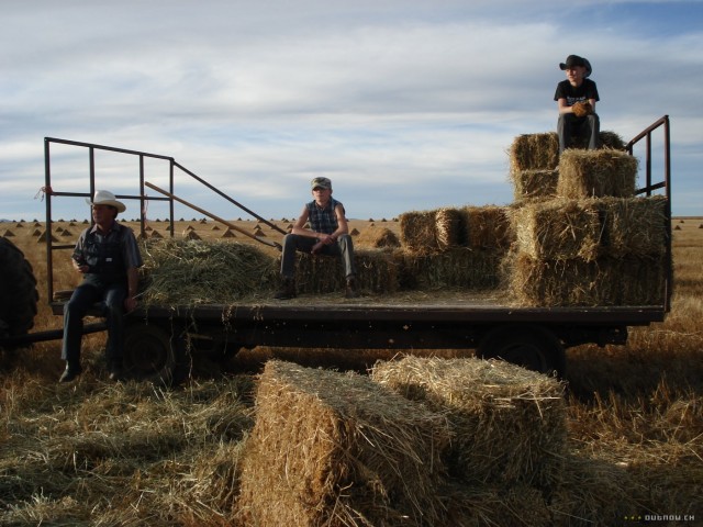 Sessiz Işık fotoğrafı