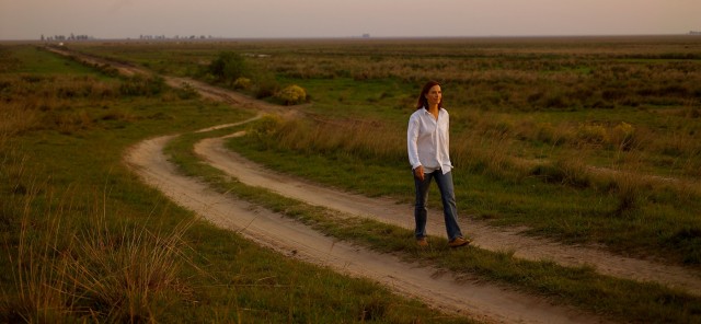 Northeast fotoğrafı