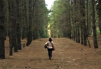 A Stray Girlfriend fotoğrafı