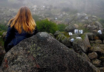 Casual Day fotoğrafı