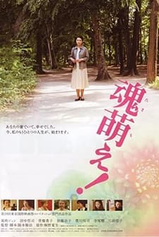 Zombie Night 2 (2006) afişi