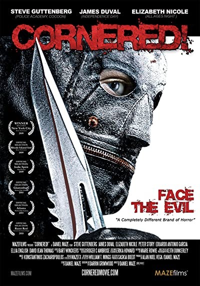 Cornered! (2009) afişi