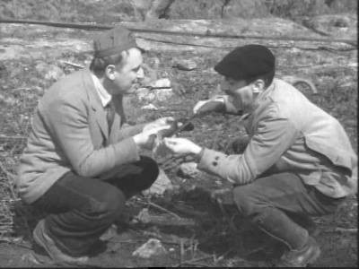 April Fish fotoğrafı