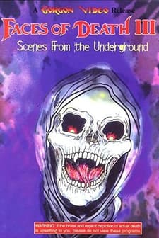 Ölümle Yüzyüze Gelmek 3 (1985) afişi