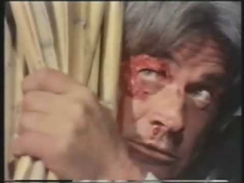 Dört Yanım Cehennem fotoğrafı