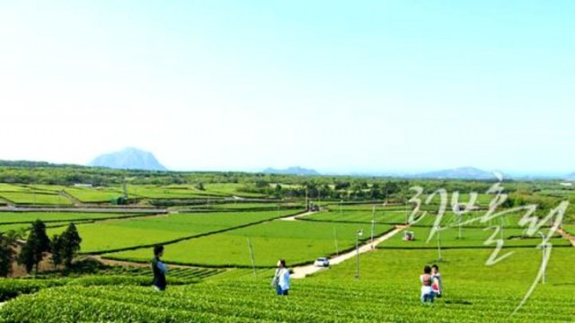 Loveholic Fotoğrafı