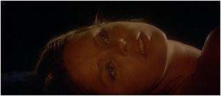 La Corta Notte Delle Bambole Di Vetro fotoğrafı